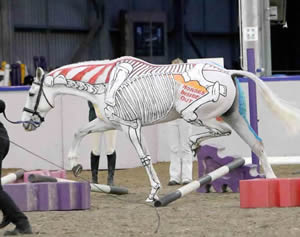 Illustration for article titled These inside-out horses are both creepy and cool